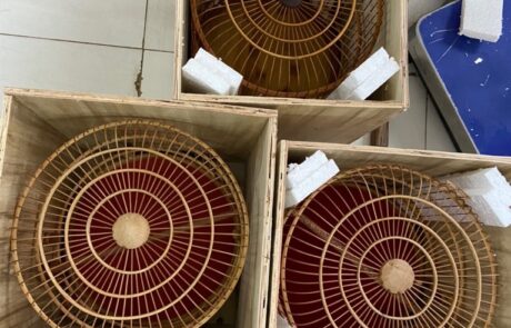 gửi lồng chim đi mỹ gửi lồng chim đi mỹ